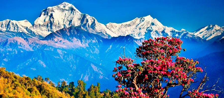 Непал: відпочинок з особливим присмаком